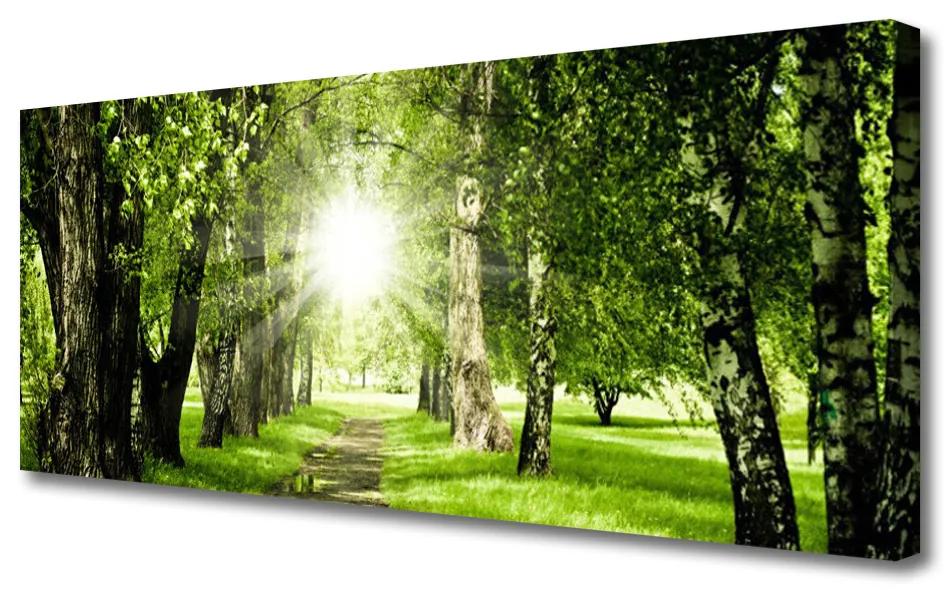 Tablou pe panza canvas Forest Soare Potecă Natura Brun Verde Galben