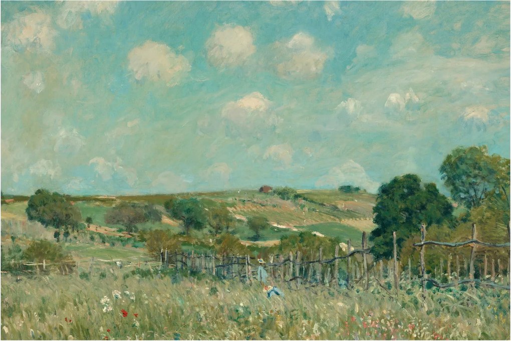 Tablou - Alfred Sisley,  Meadow, reproducere (90x60 cm)