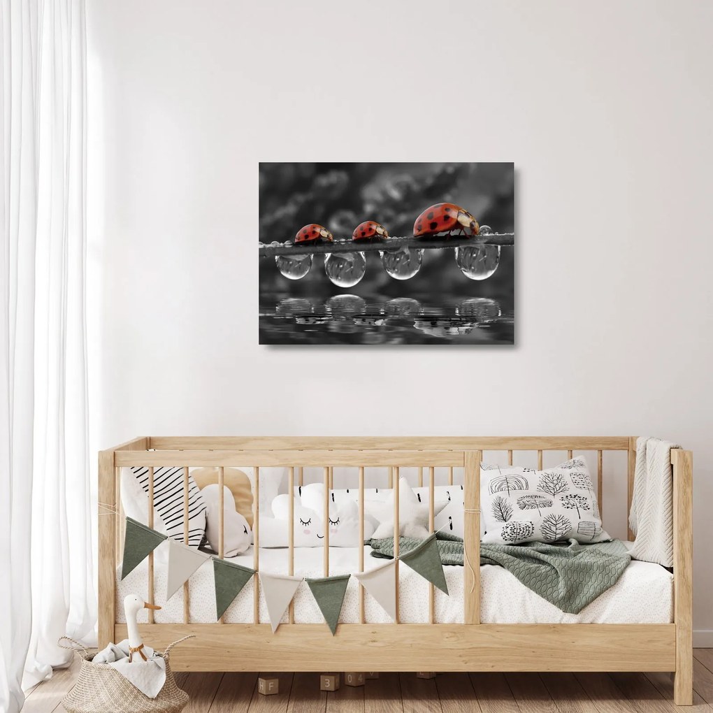 Tablou pe sticlă - Floarea-soarelui, alb și negru (70x50 cm)