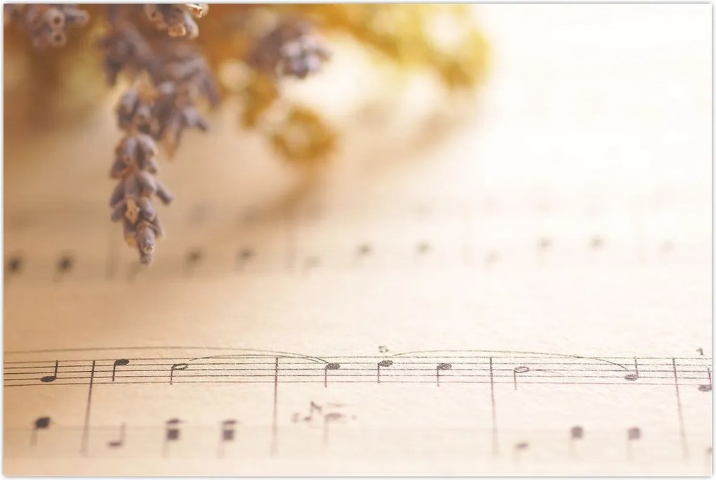 Tablou - Cântec (90x60 cm)