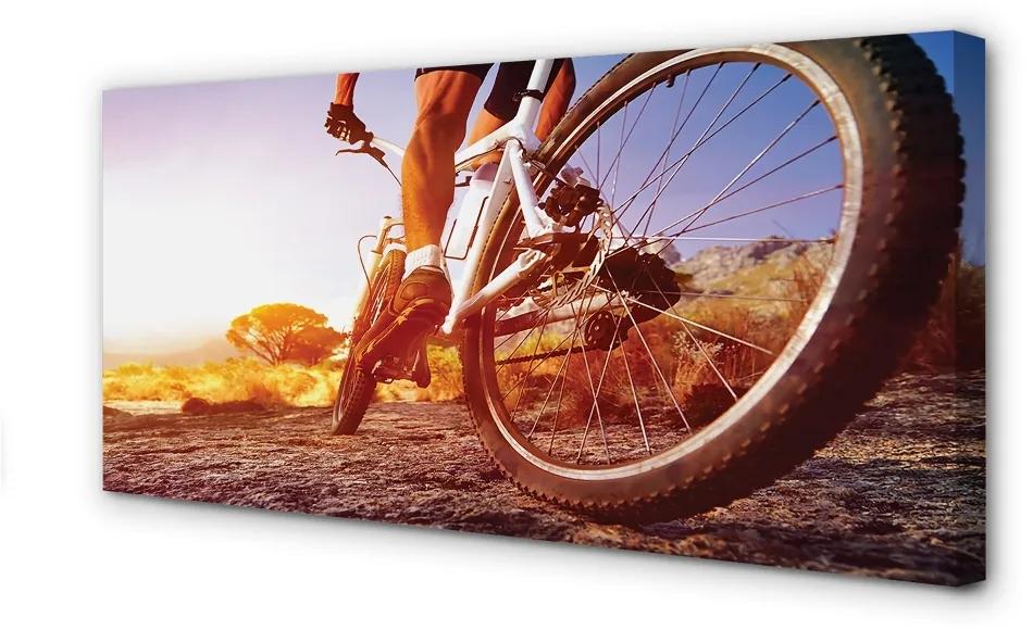 Tablouri canvas Rutier biciclete de munte vest