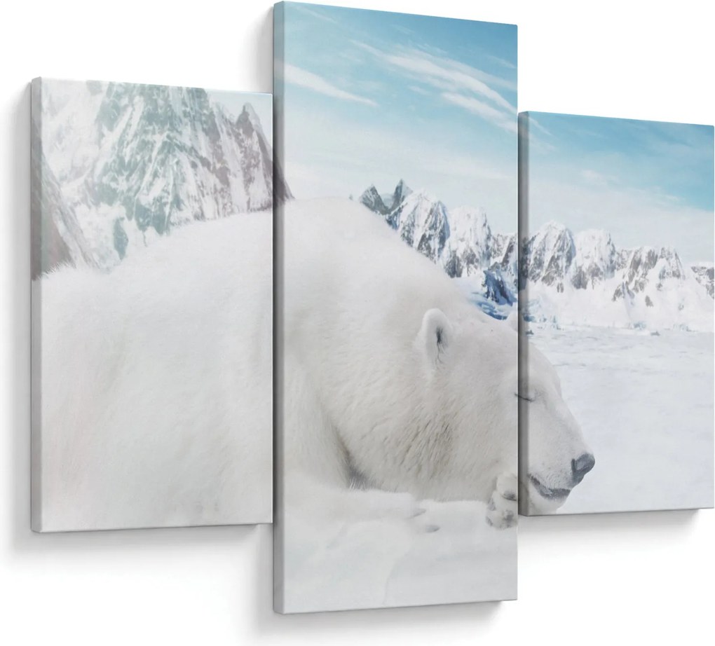 Tablou - Urs polar (90x60 cm)
