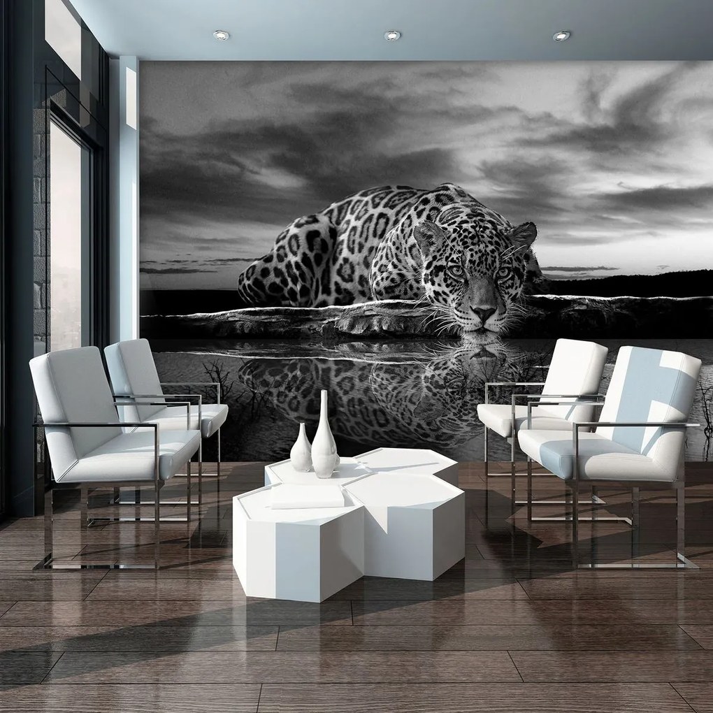 Fototapet - Jaguar târâtor în alb și negru (254x184 cm)