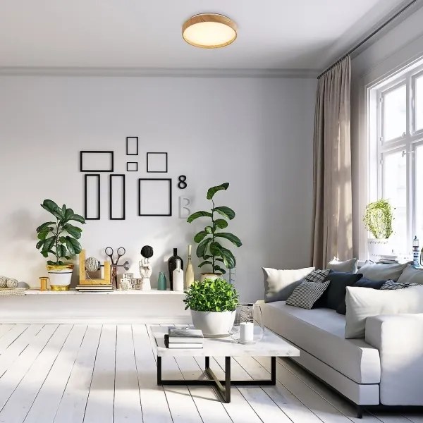 Plafonieră LED Rabalux 71143 LEANA LED/12W/230V 3000K d. 26 cm