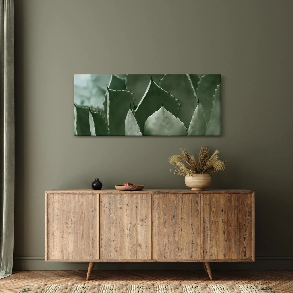 Tablou - Agave verde (120x50 cm)