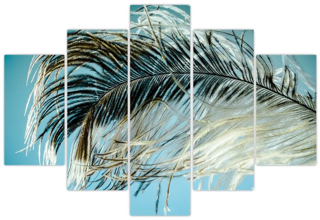Tablou cu pană (150x105 cm)