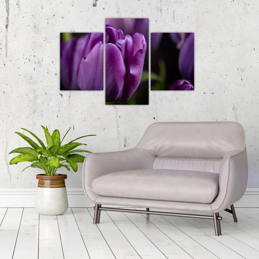Tablou cu flori de lalele (90x60 cm)