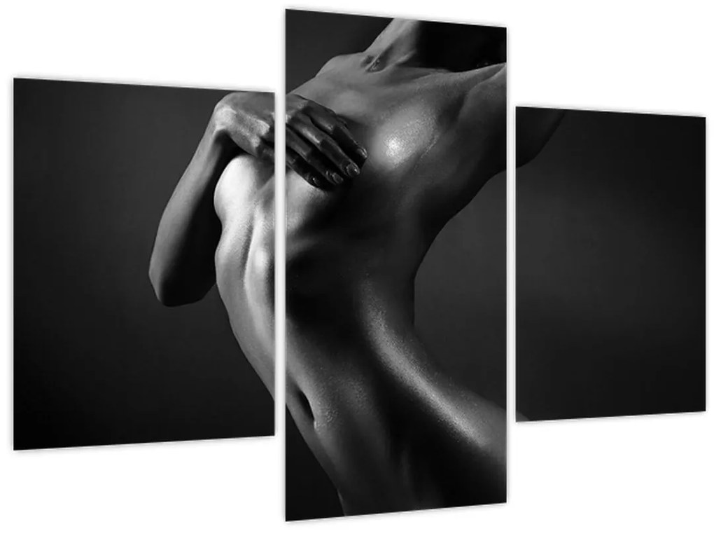 Tablou - Femei nud (90x60 cm)