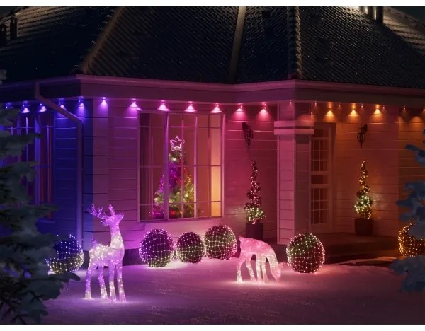 Ren LED RGBW dimabil de exterior Twinkly TW3RS200SPP-TEU 240xLED IP44 Wi-Fi