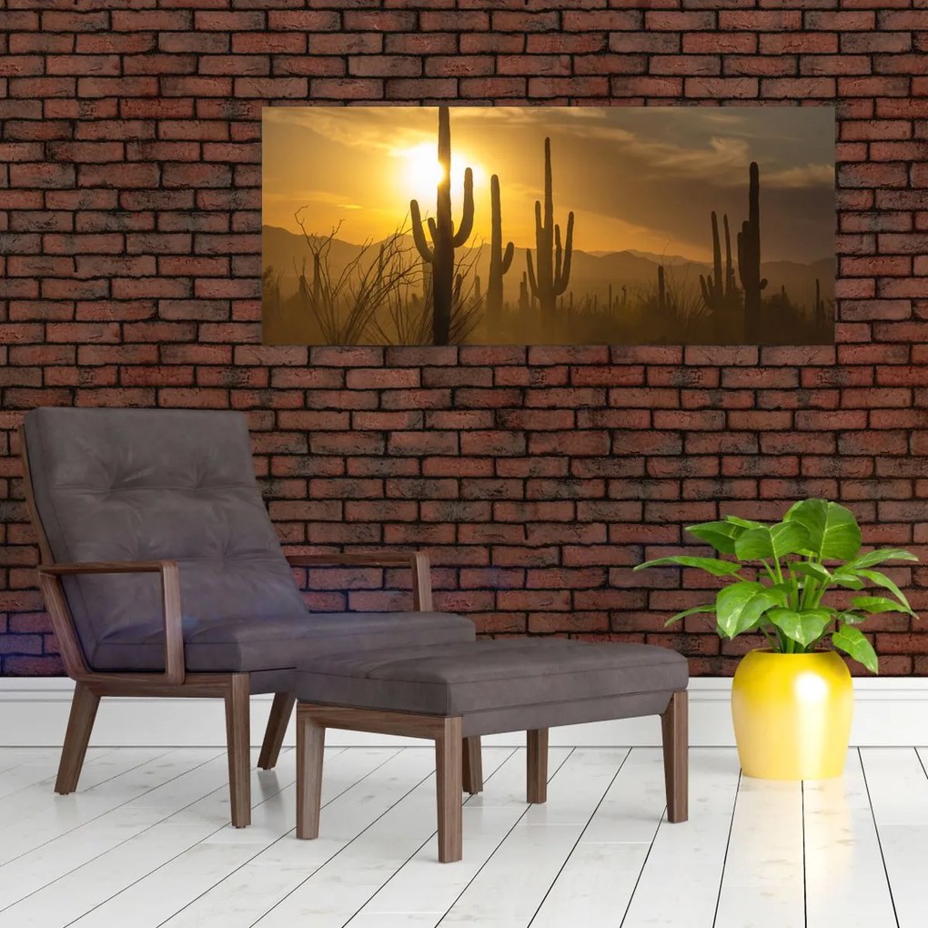 Tablou - Cactuși Saguaro (120x50 cm)