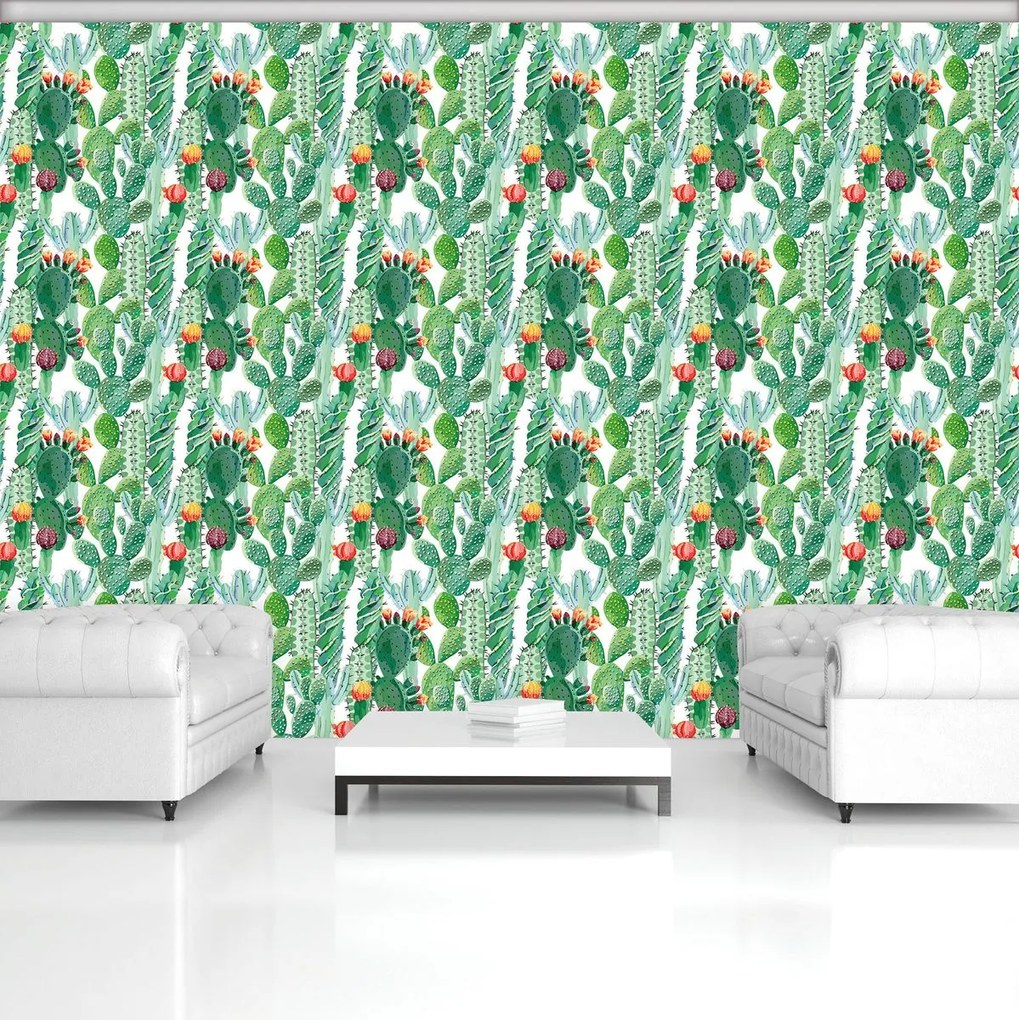 Fototapet - cactus (254x184 cm)