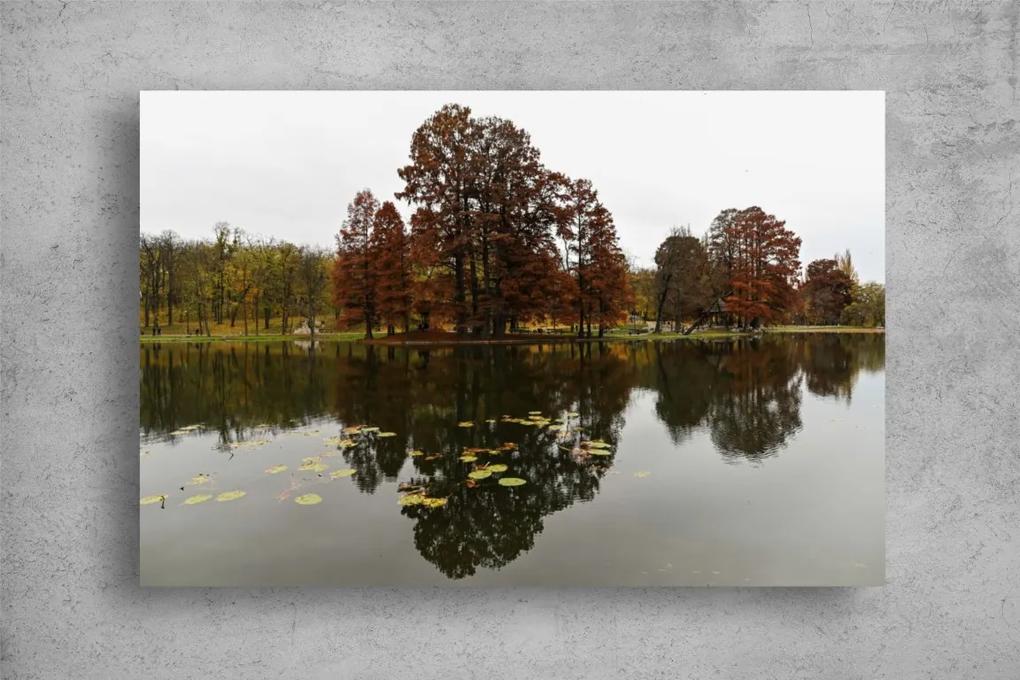 Tablou Canvas - Reflexia pomilor in lacul din parc