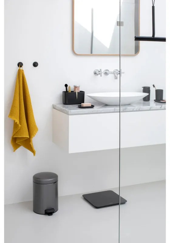 Set 2 agatatoare prosoape Brabantia ReNew 1003485, Kit de montare inclus, Pana la 2 kg, Gri inchis