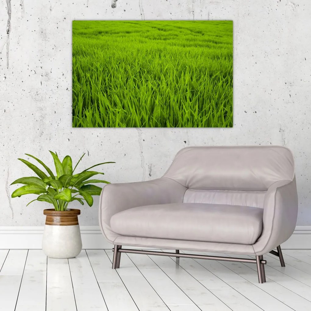 Tablou cu iaraba (90x60 cm)