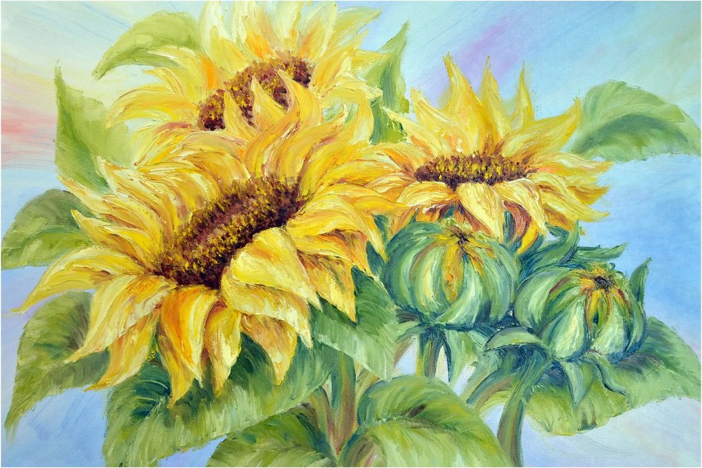 Tablou - Floarea soarelui înflorită (90x60 cm)