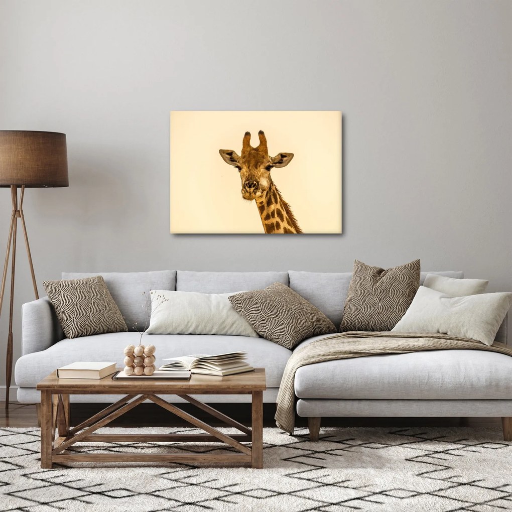 Tablou cu girafe (70x50 cm)