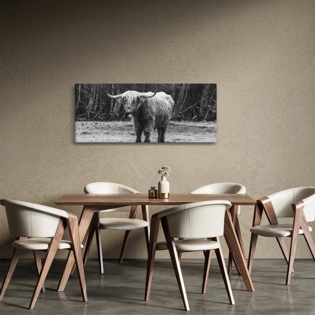 Tablou - Vacă scoțiană 3,alb-negru (120x50 cm)