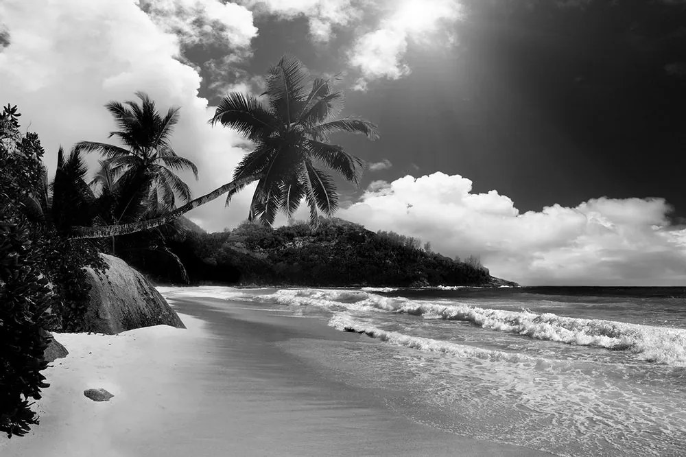 Fototapet plajă pe insula Seychelles în alb-negru