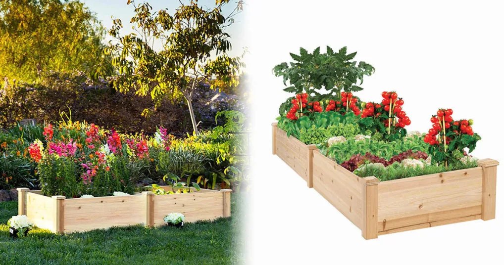 Lada din lemn pentru rasaduri cu 2 compartimente