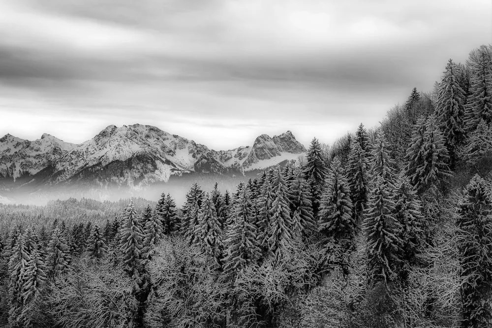 Fototapet munți înghețați în alb-negru