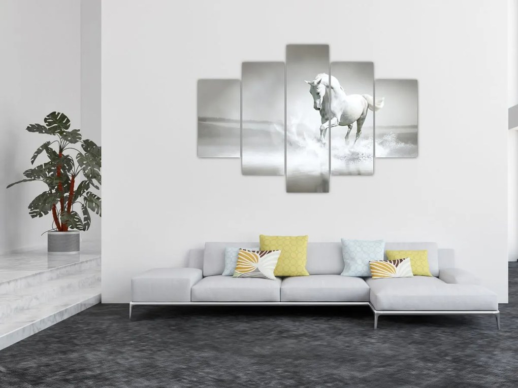 Tablou - Cal alb (150x105 cm)