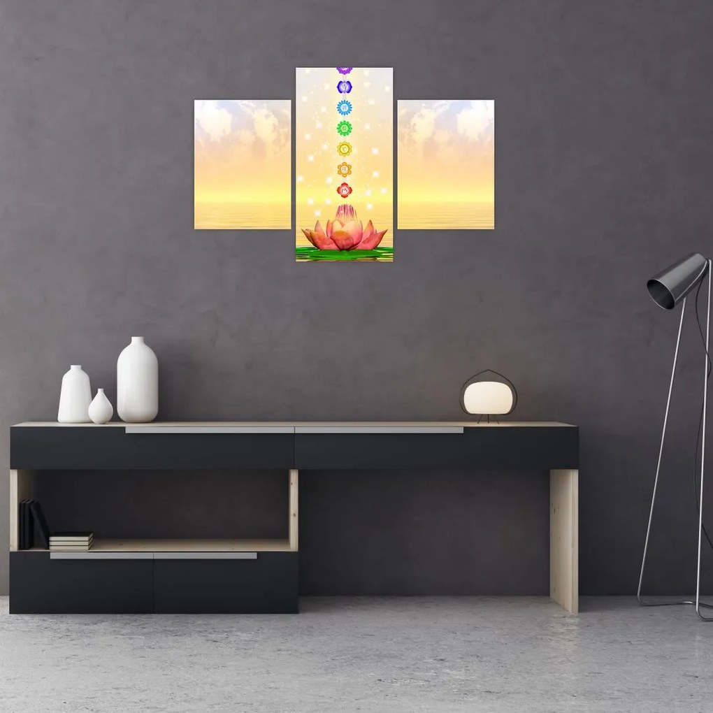 Tablou - Chakrele (90x60 cm)