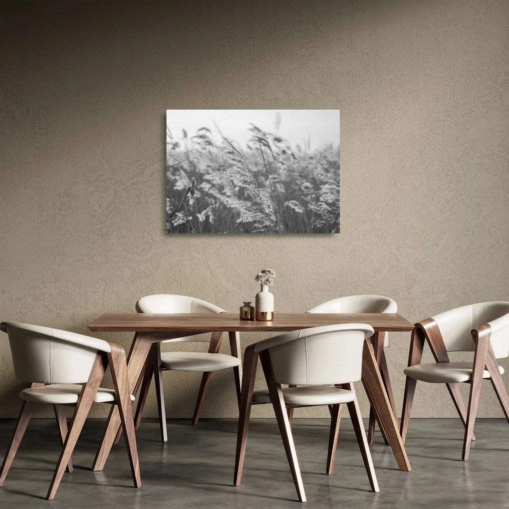 Tablou pe sticlă - Iarba în vânt (70x50 cm)