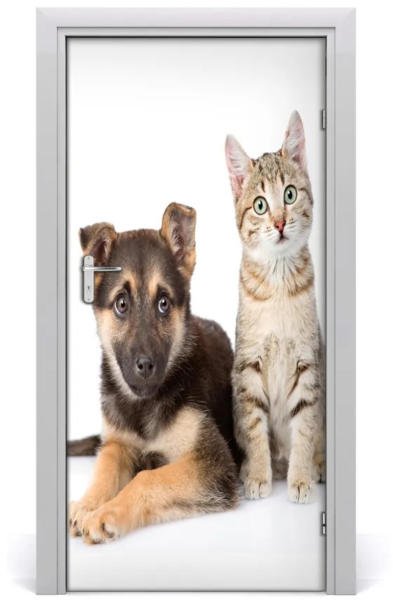 Autocolante pentru usi perete de câine și de pisică