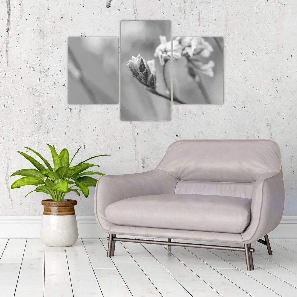 Tablou - Floare înflorită (90x60 cm)