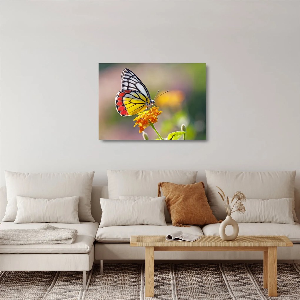 Tablou pe sticlă - Fluture pe floare (70x50 cm)
