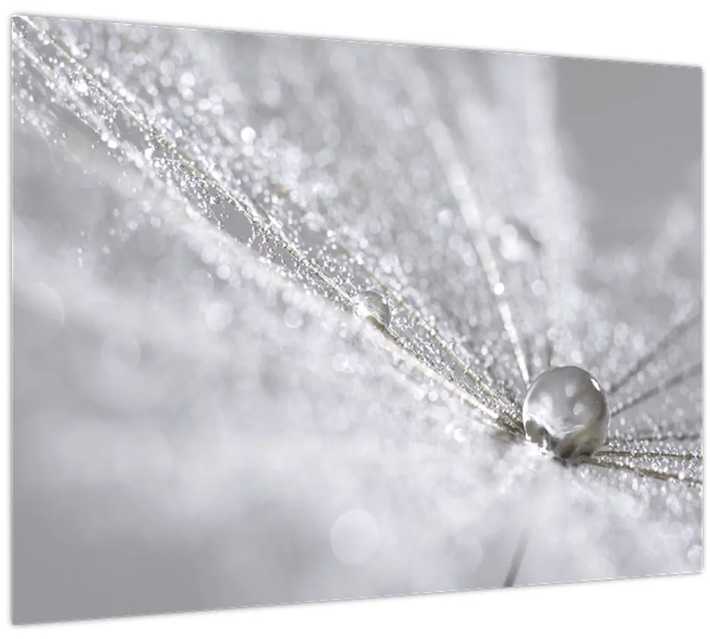 Tablou - Picătură de apă (70x50 cm)