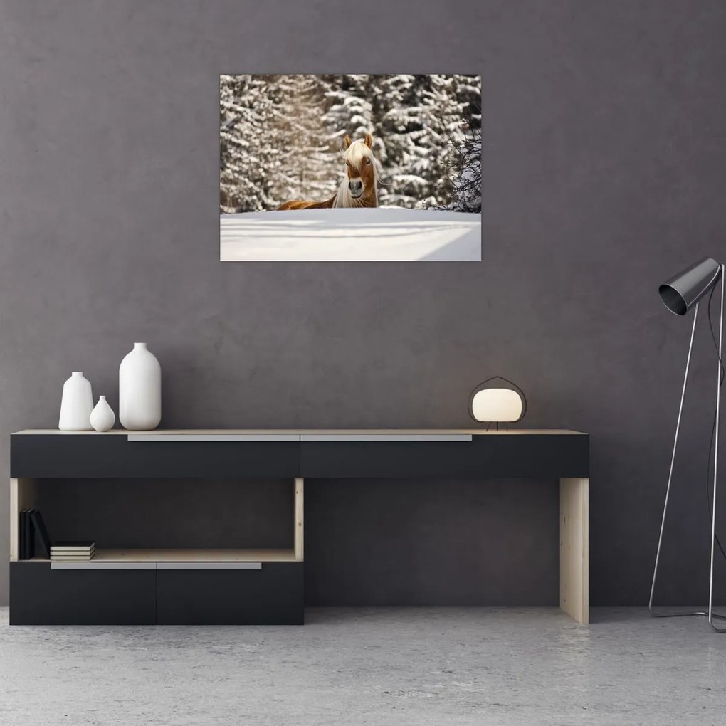 Tablou - Cal în peisaj de iarnă (70x50 cm)