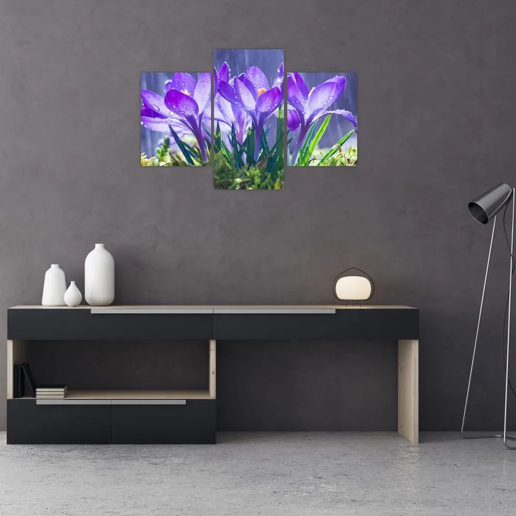 Tablou cuflori în ploaie (90x60 cm)