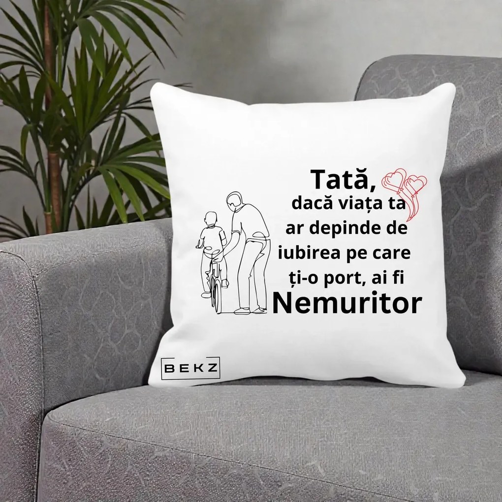 Cadou pentru Tata - Perna Personalizata Tata Nemuritor Bicicleta, 40x40 cm, Alba Mata, Husa Detasabila, Perna Inclusa, BEKZ®
