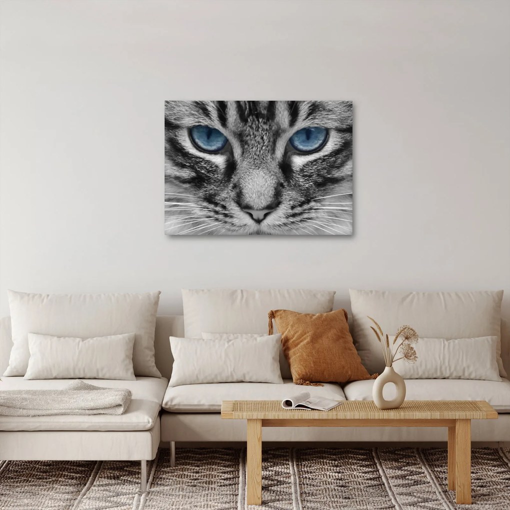 Tablou cu pisica (70x50 cm)