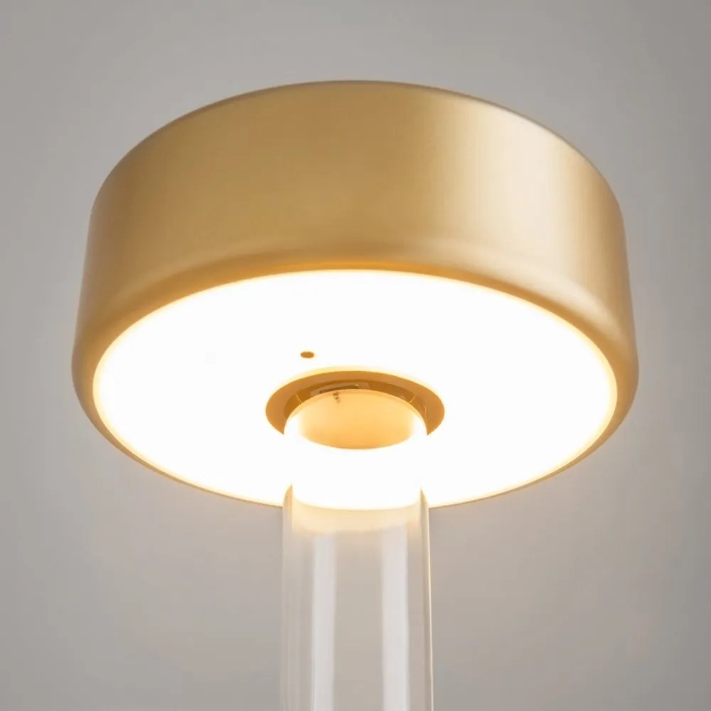 Lampa portabila cu baterii cu baza in forma de vaza AI design auriu/ transparent
