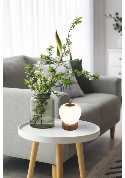 Globo 21011 - Lampă de birou LED reglabilă EVALINA LED/2W/3,7V