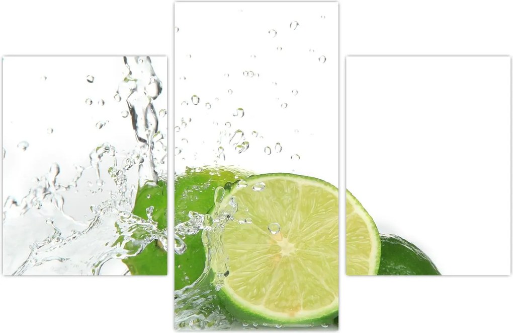 Tablou - Lămâi suculente (90x60 cm)