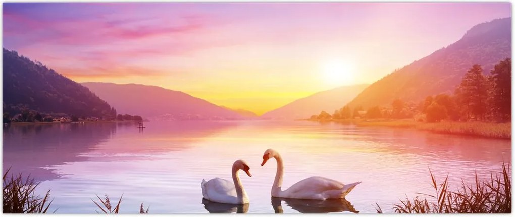 Tablou - Lebăde îndrăgostite (120x50 cm)