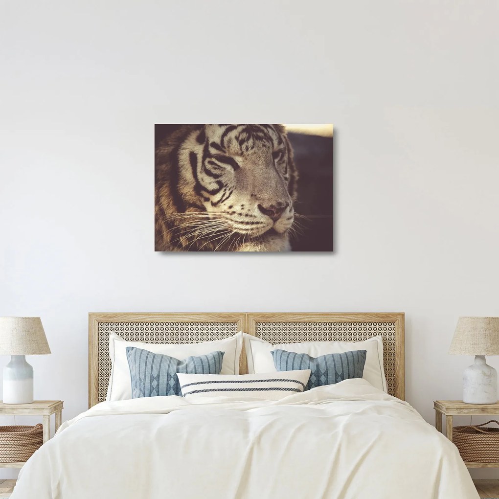 Tablou pe sticlă cu tigrul (70x50 cm)