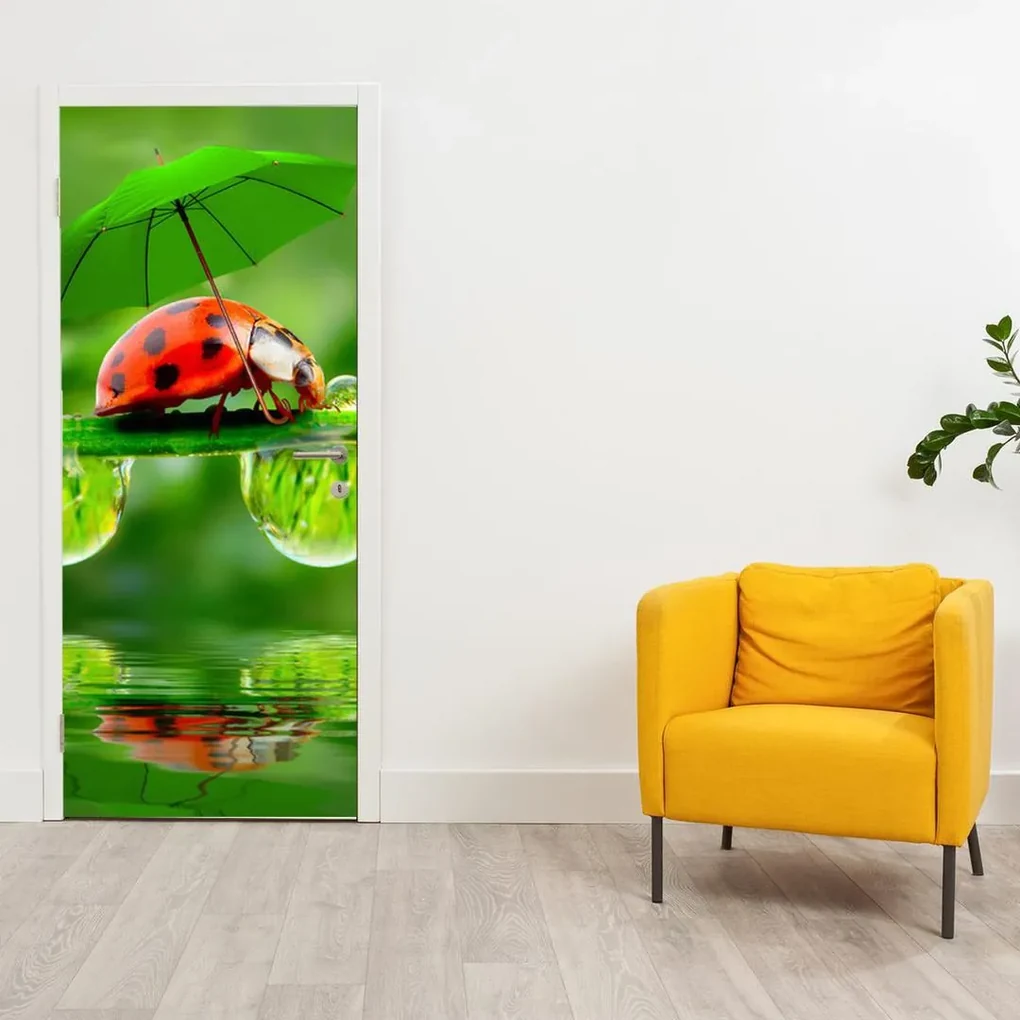 Fototapeta pentru ușă - buburuza cu umbrela (95x205cm)