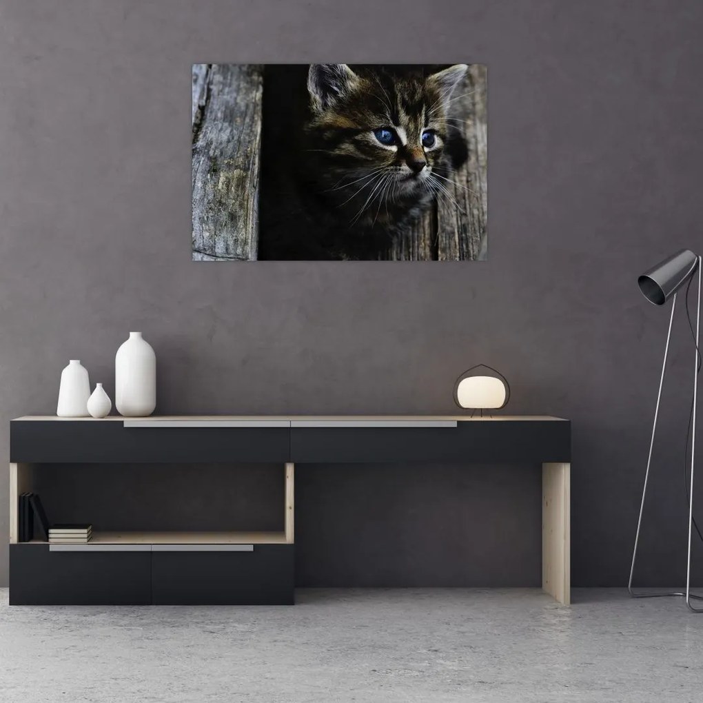 Tablou cu pisicuța (90x60 cm)