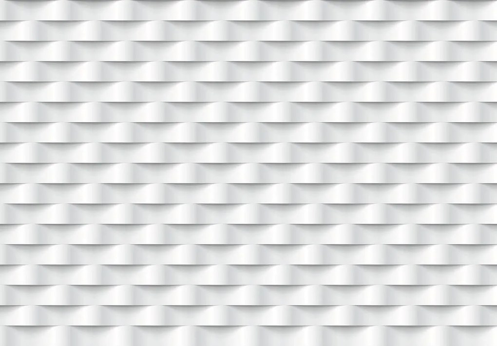 Fototapet - Dungi (254x184 cm)