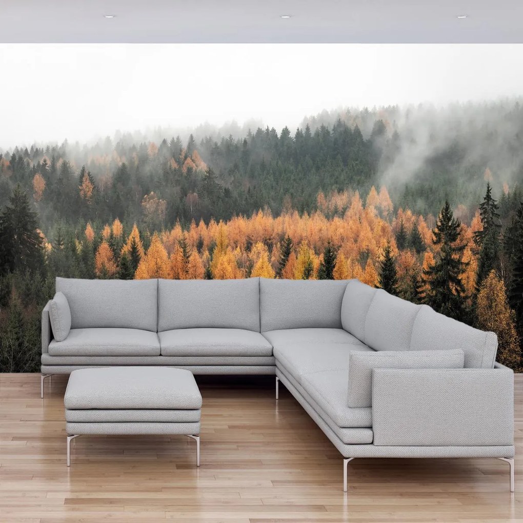 Fototapet - Pădurea toamna (147x102 cm)