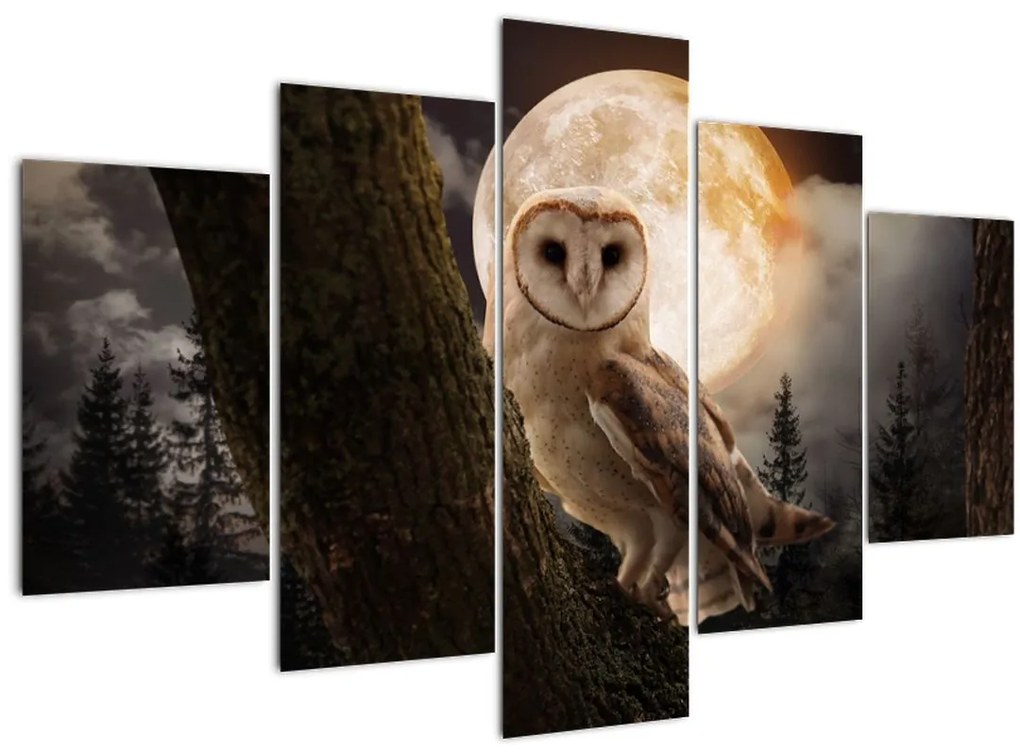 Tablou cu bufnița (150x105 cm)