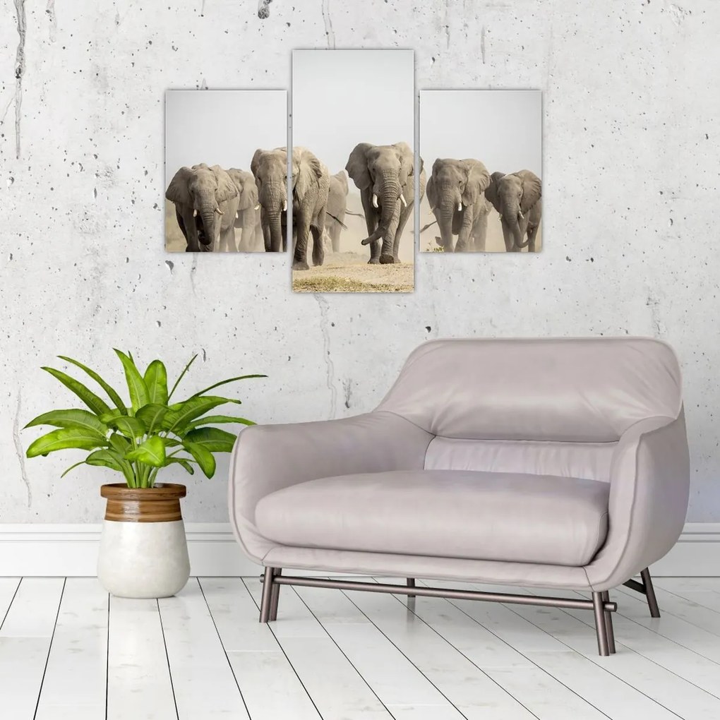 Tablou - Turmă de elefanți (90x60 cm)