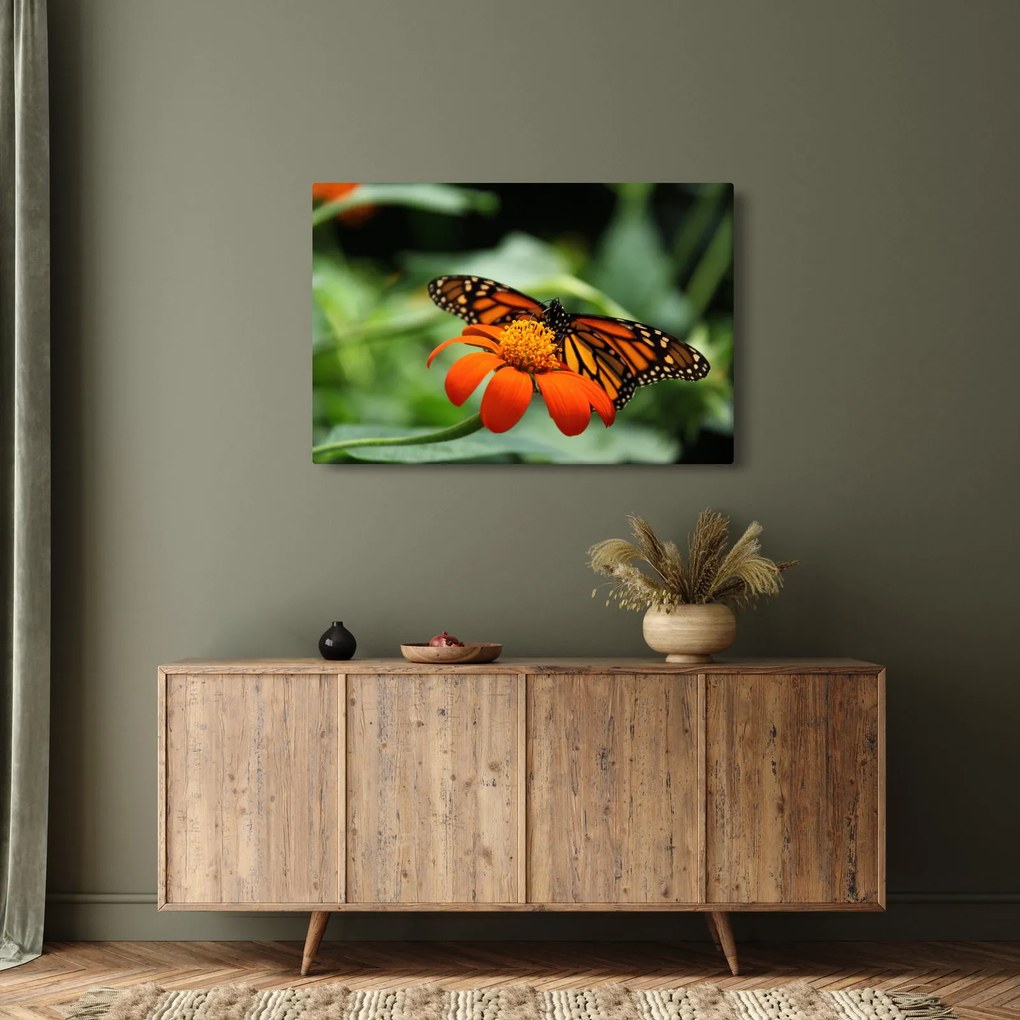 Tablou cu fluture pe floare (90x60 cm)