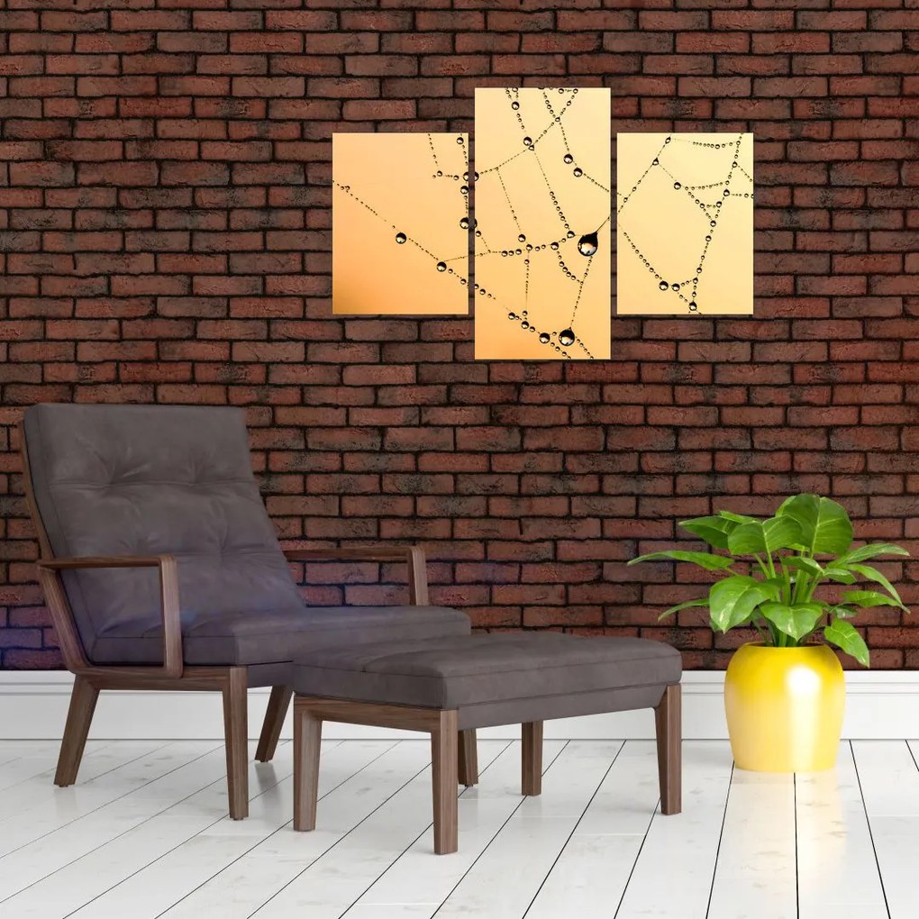 Tablou cu pânză de pâianjen cu rouă (90x60 cm)