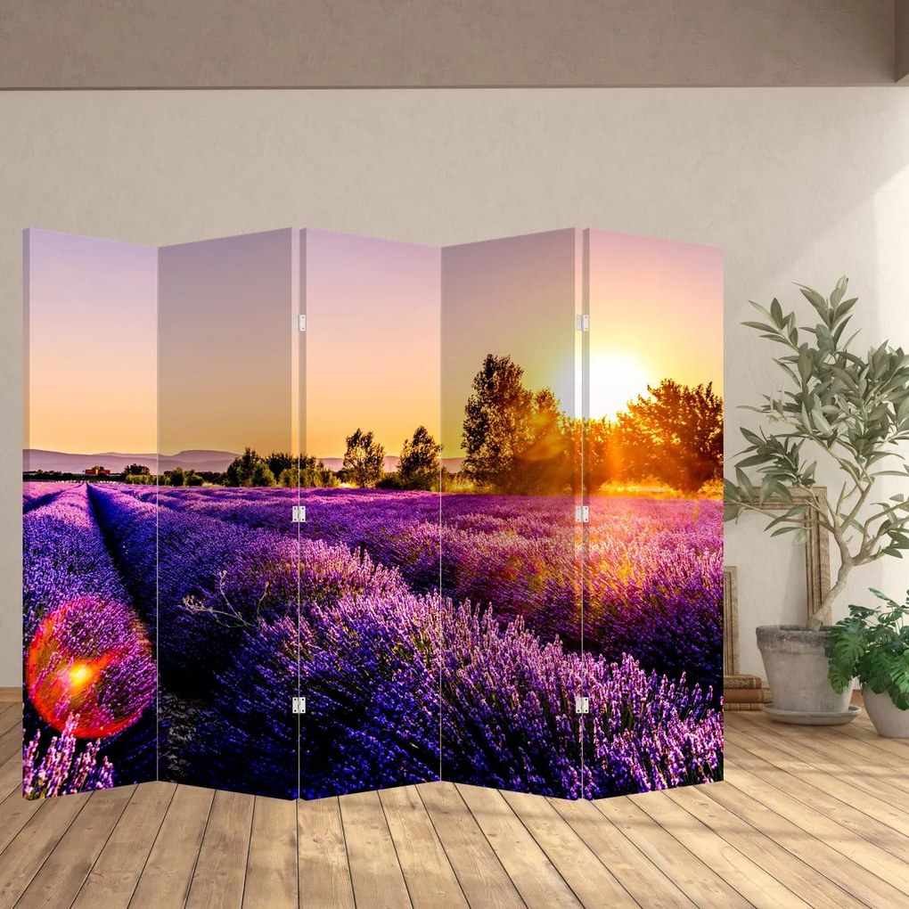 Paravan - Câmp de lavanda (210x170 cm)