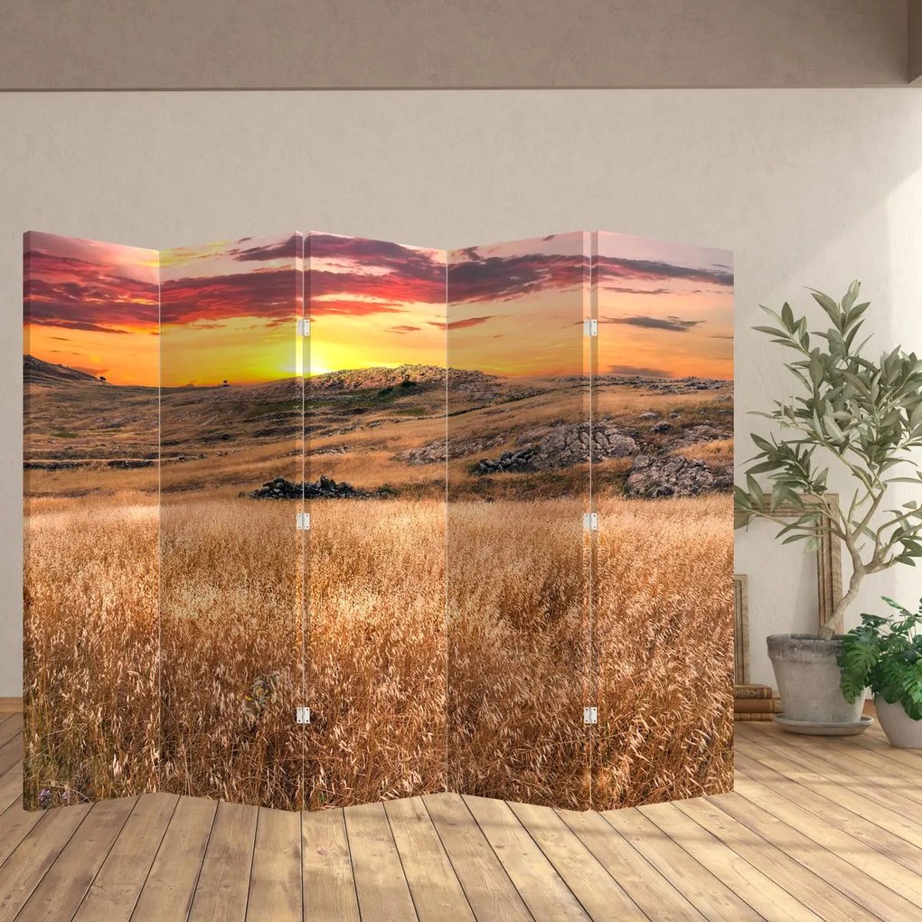 Paravan - Câmp (210x170 cm)